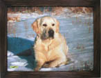 Coloured photograph on canvas in the authorīs frame, 30 x 40 cm